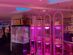 -巴特餐饮6加1音乐餐吧·新疆菜