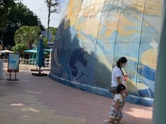 -海合安成都极地海洋公园