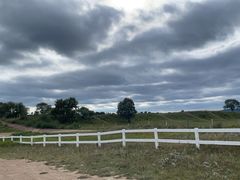 -御道口草原森林风景区