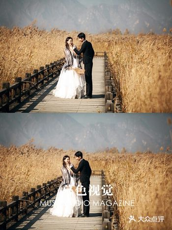 我的初秋芦苇婚纱照，太美了叭