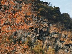 -石台牯牛降景区