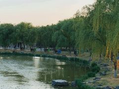 -西安浐灞国家湿地公园