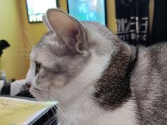 -谜盒子奇幻密室(南屏店)
