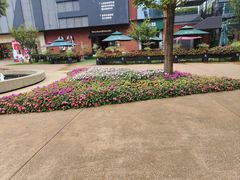 -西安电影制片厂