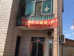 -南汇水蜜桃采摘(大团店)