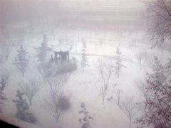 雪-曲阜师范大学(曲阜校区)