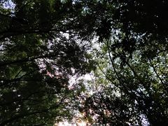 -广州市白云山风景名胜区