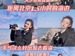 -东疆建设开发纪念公园