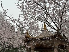 -仰山公园