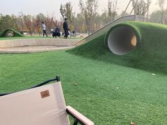 -爪吧宠物乐园·宠物泳池(温榆河示范区店)