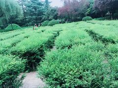 -城市运动公园(未央区)