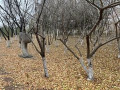 -长春世界雕塑园冰雪艺术天地