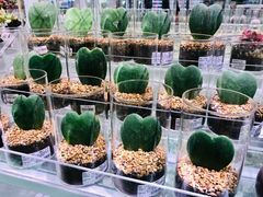 -KKV(深圳宏发大仟里店)