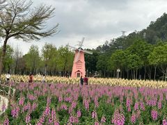-顺峰山公园