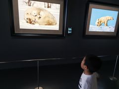 -罗红摄影艺术馆