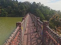 -广州白江湖森林公园