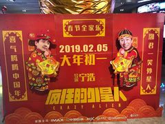 -奥斯卡升龙国际影城(RealD Cinema)