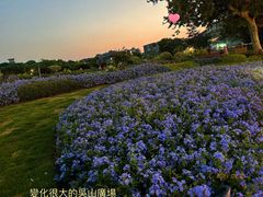 -吴山景区