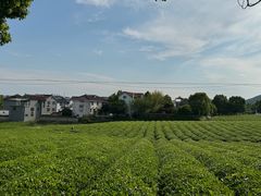 -敬亭山风景名胜区