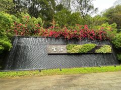 -云溪植物园