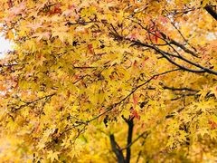 -苏州河梦清园环保主题公园