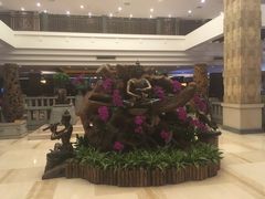 -厦门日月谷温泉渡假村