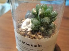 -Fridi Patisserie Cafe