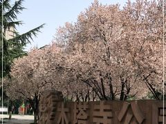 -木塔寺遗址生态公园