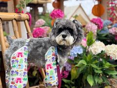 -巴倒烫陆派火锅山庄(南山总店)