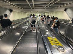 -汪记鲜鱼糊汤粉(沈阳路总店)