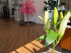 -上海宝诚尊悦宝马4S店(静安店)