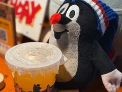 -布拉格餐厅· 中欧捷克菜(全国首店)