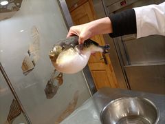 -天正河鲀·河豚亭(大连店)