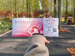 -东平国家森林公园