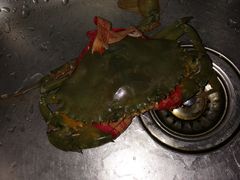 -众彩物流水产市场