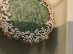 -绿茶餐厅(昆明世纪金源店)