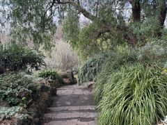-墨尔本皇家植物园