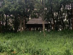 -新洲生态园