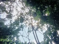 -南宁南湖公园