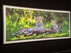 -罗红摄影艺术馆