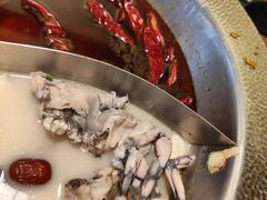 -麻田会 ·鲜活现烹·牛蛙火锅(珠江新城维家思广场店)
