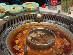 -晓宇重庆火锅(赛格国际购物中心店)