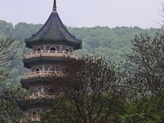 -灵谷景区