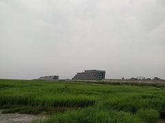 -南汇嘴观海公园