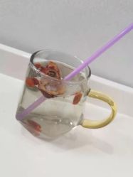 -俪姿·产后修复·开奶通乳(五一广场店)