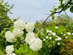 -蜀冈西峰生态公园