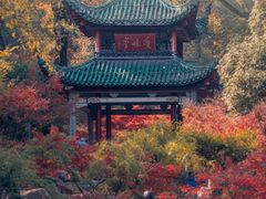 -岳麓山风景名胜区