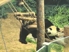 -大连森林动物园