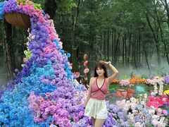 -洛阳白云山景区