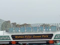 -海合安武汉极地海洋公园